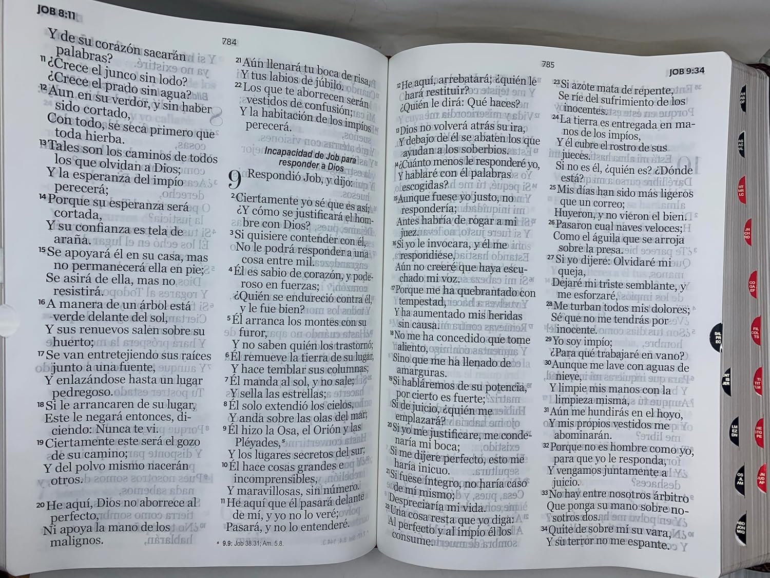 Biblia RVR 1960 Letra Súper Gigante Con Índice Café