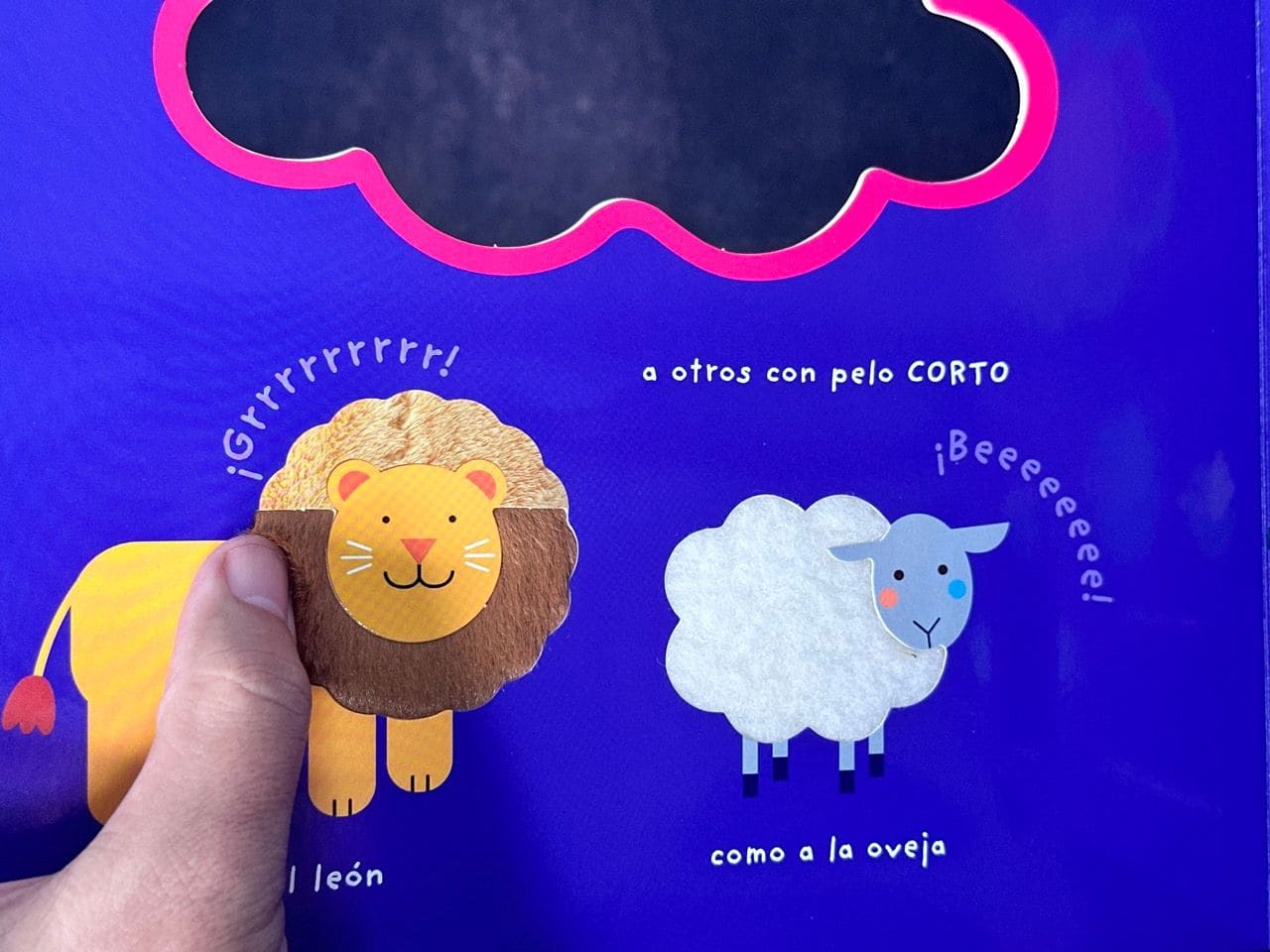 El Arca De Noé "Colección Toca Y Juega"